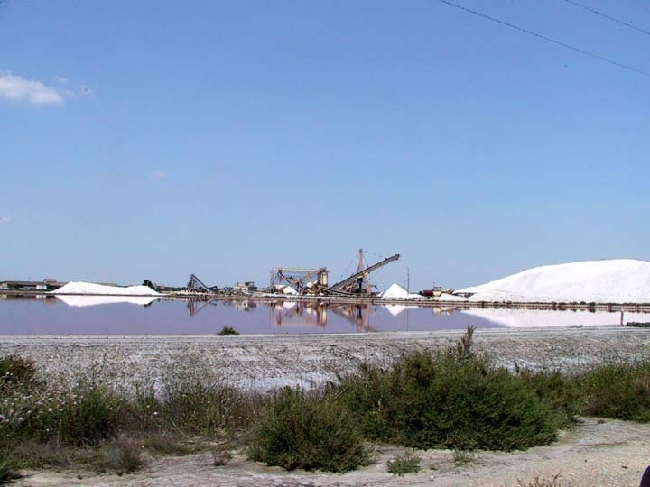 Une vue d'ensemble sur le site